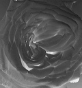 bw_sw_b_04