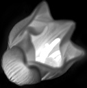 bw_sw_b_08
