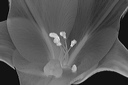 bw_sw_b_09