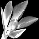 bw_sw_b_10