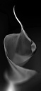 bw_sw_b_19