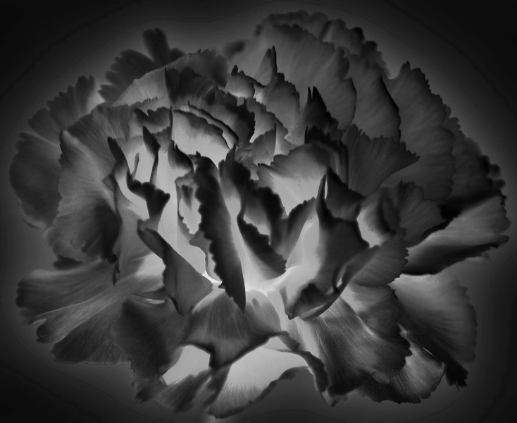 bw_sw_b_01.jpg