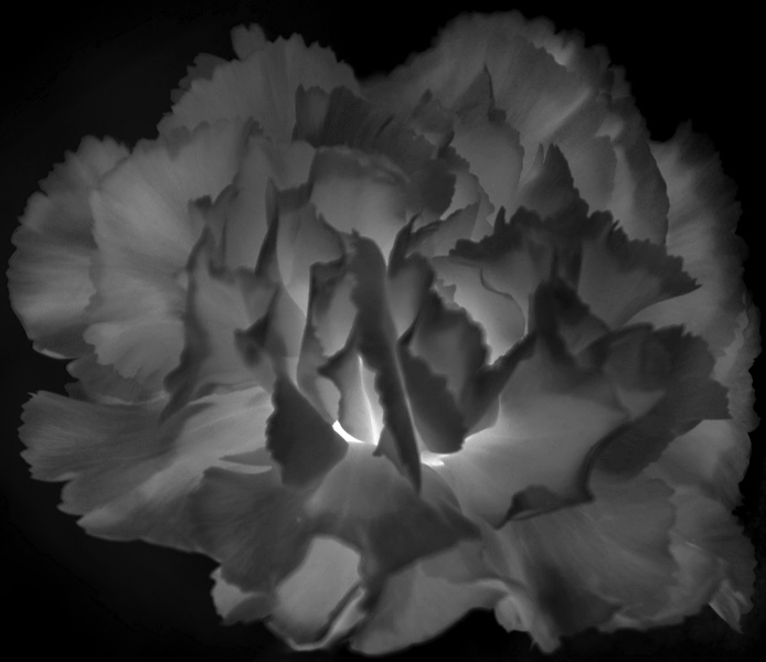 bw_sw_b_02.jpg