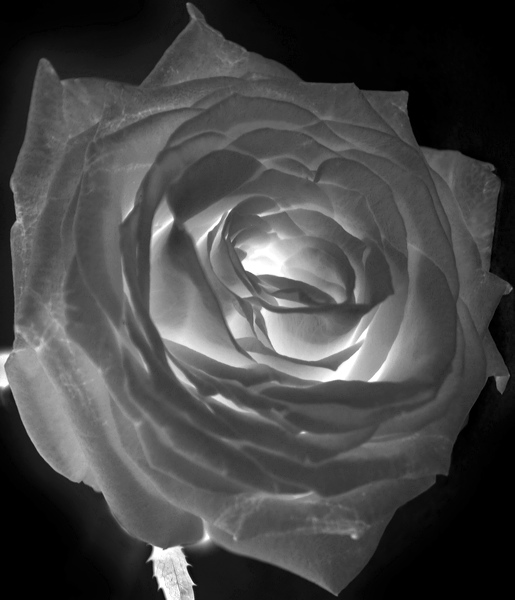 bw_sw_b_03.jpg