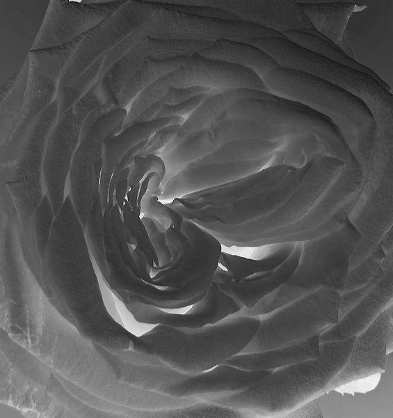 bw_sw_b_04.jpg