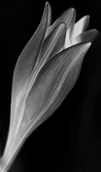 bw_sw_b_05.jpg