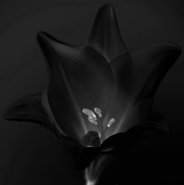 bw_sw_b_07.jpg