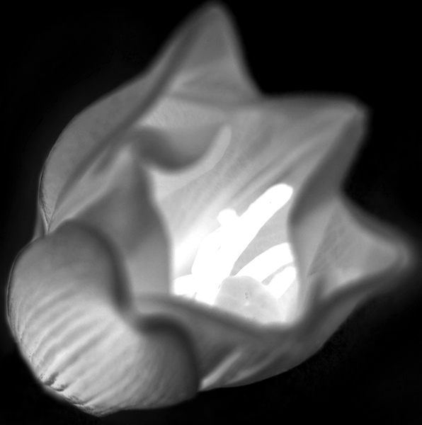 bw_sw_b_08.jpg
