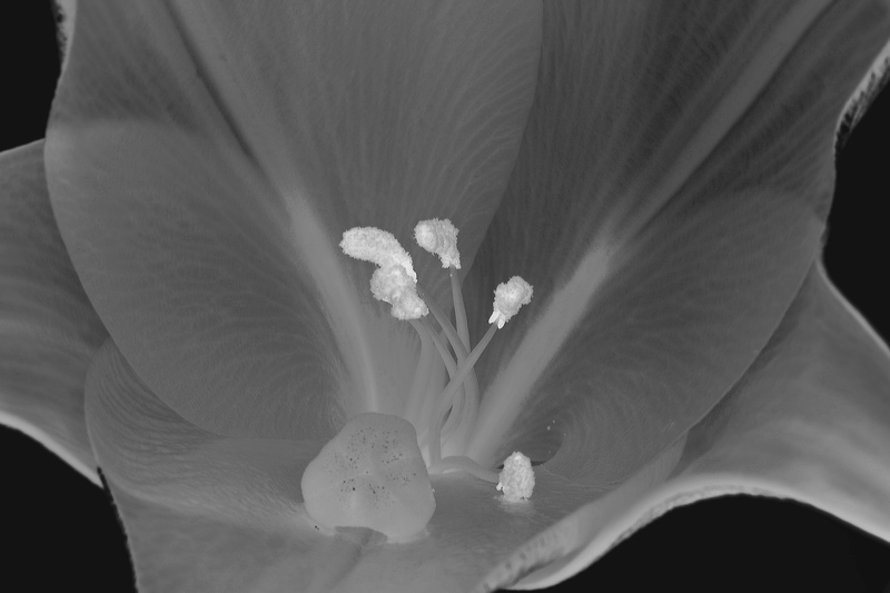 bw_sw_b_09.jpg