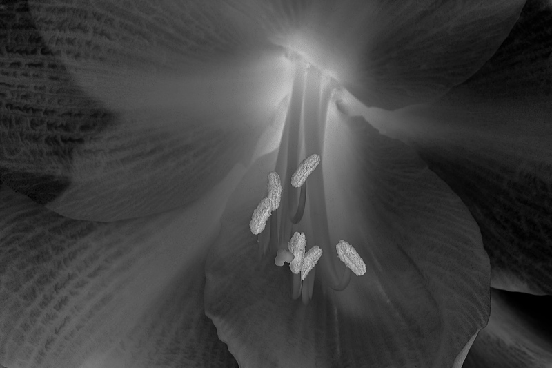bw_sw_b_12.jpg