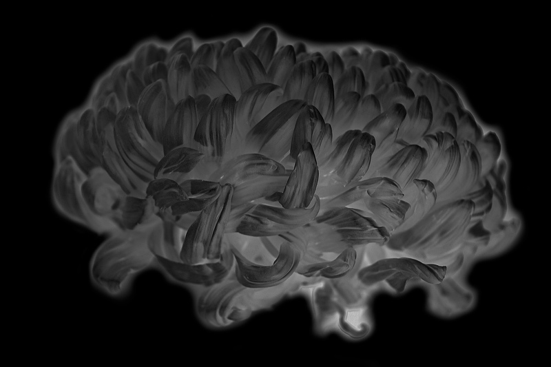 bw_sw_b_13.jpg
