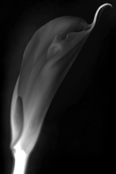 bw_sw_b_17.jpg