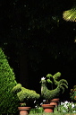 008577