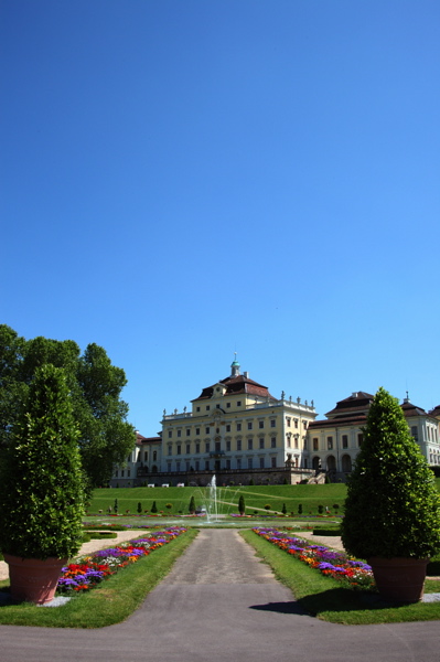 008595.jpg