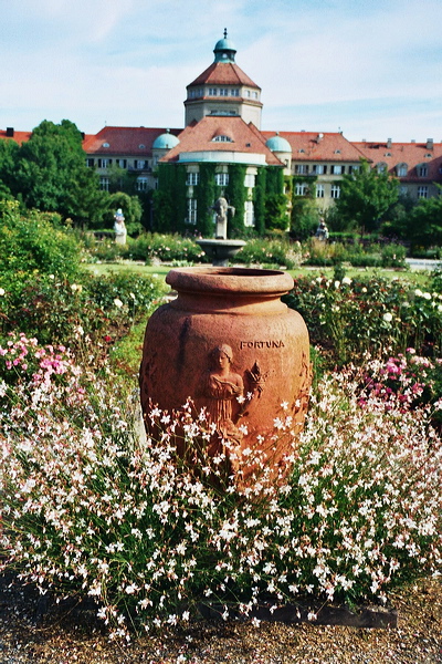 002802.jpg