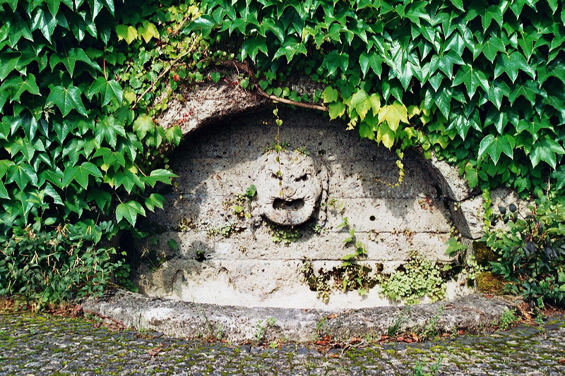 002808.jpg