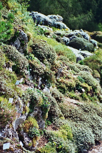 002813.jpg