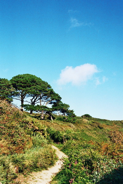 001843.jpg