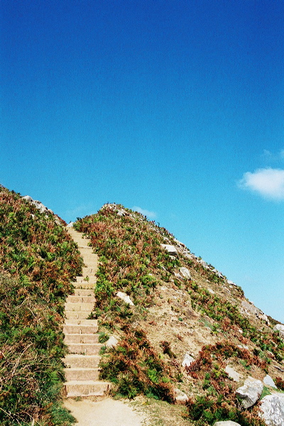 001853.jpg
