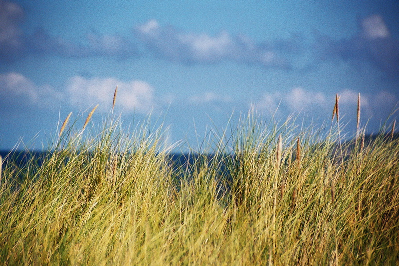 001854.jpg