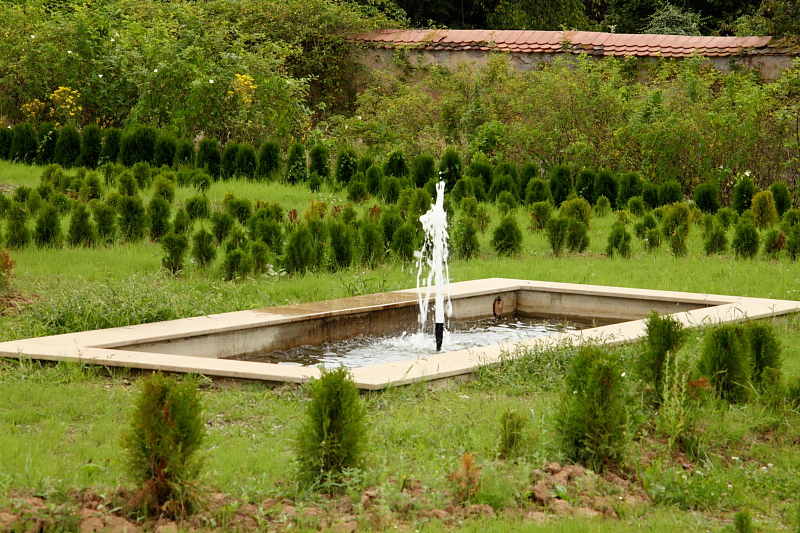 009451.jpg