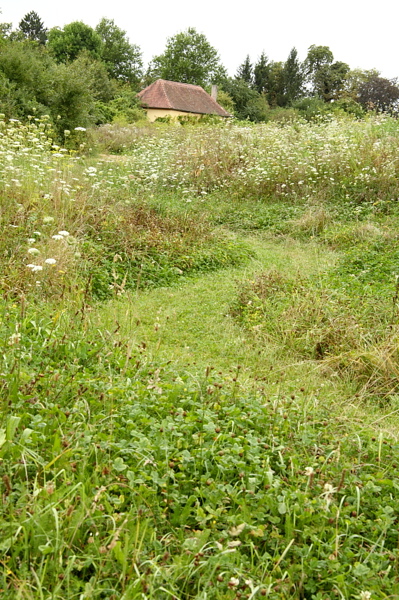 009459.jpg