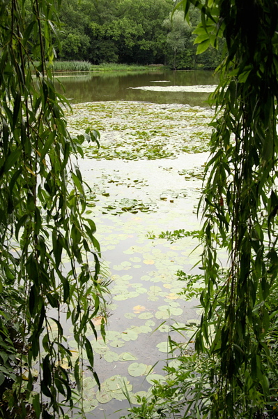 009479.jpg