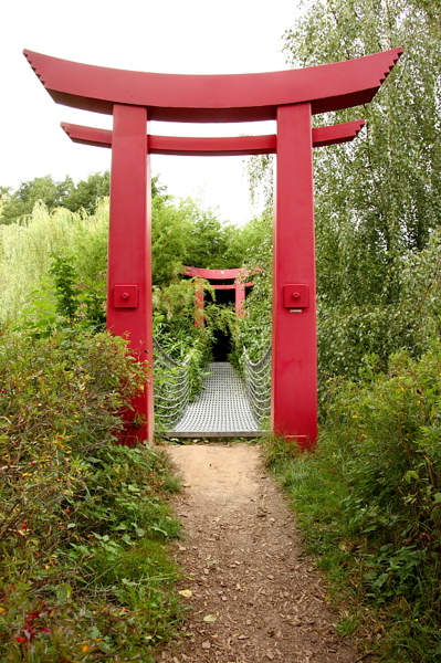 009496.jpg