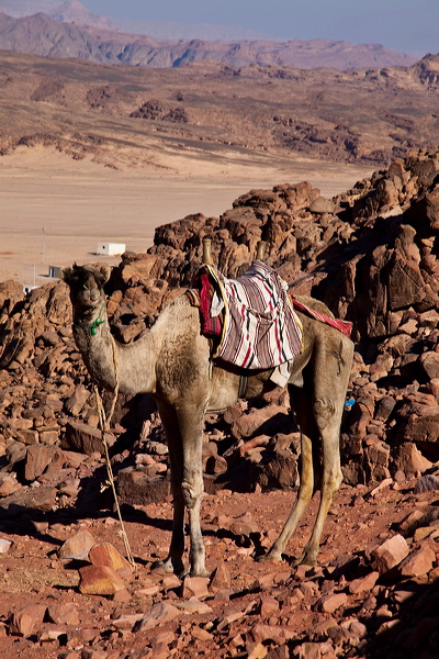 _mg_7085.jpg