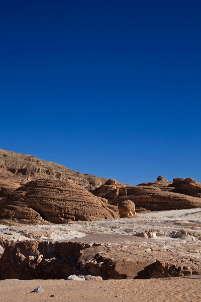_mg_7098.jpg