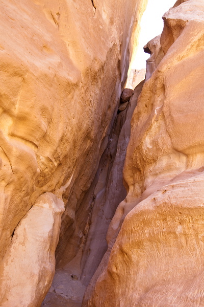 _mg_7112.jpg