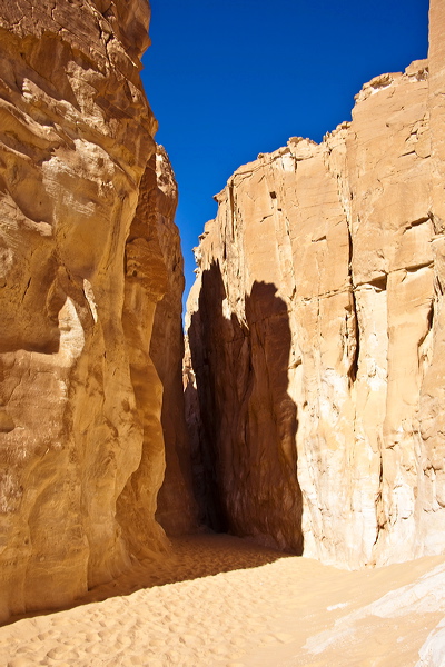 _mg_7115.jpg