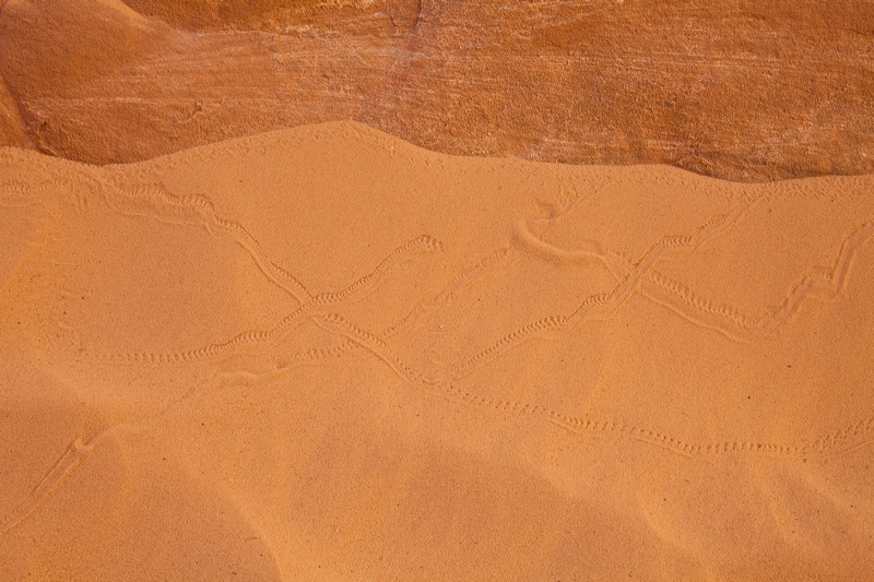 _mg_7123.jpg