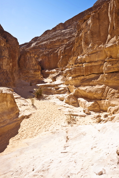 _mg_7142.jpg