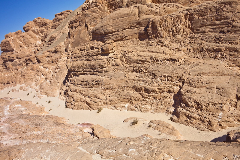 _mg_7162.jpg