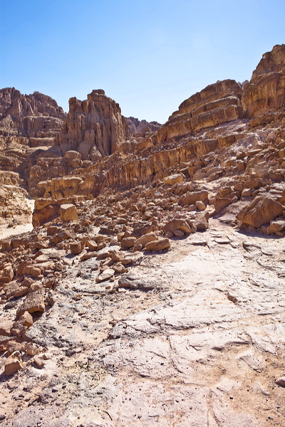 _mg_7165.jpg