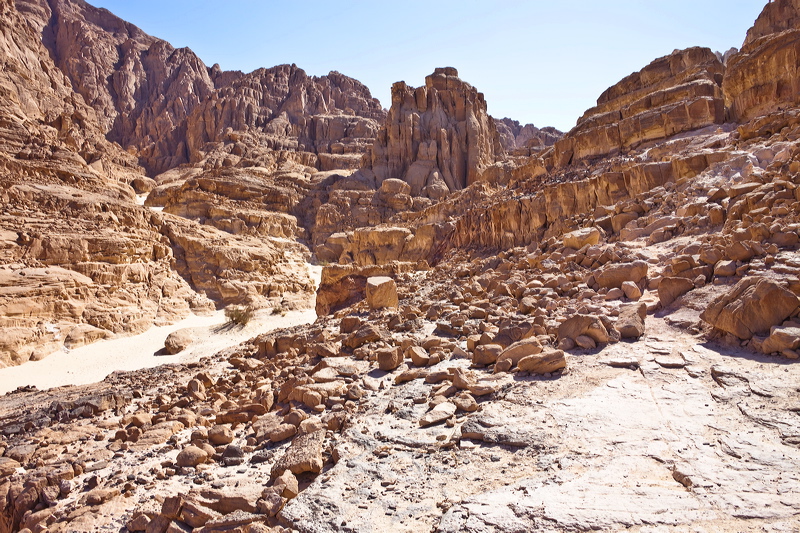 _mg_7166.jpg