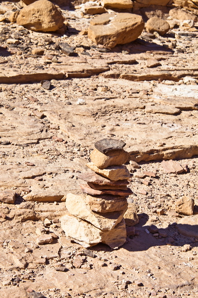 _mg_7169.jpg