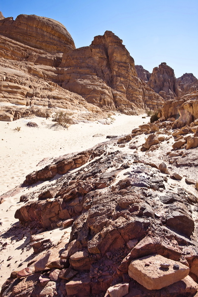 _mg_7172.jpg