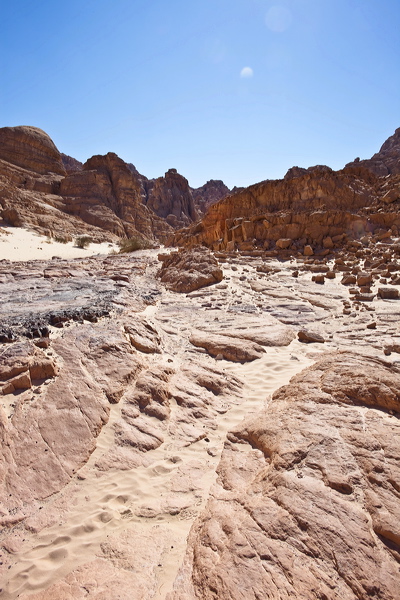 _mg_7173.jpg