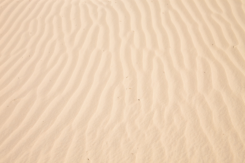 _mg_7176.jpg