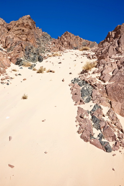 _mg_7180.jpg