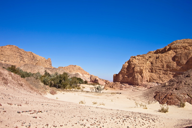 _mg_7183.jpg