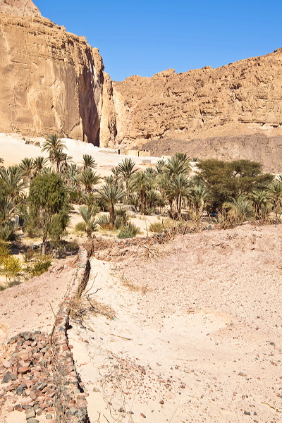 _mg_7184.jpg