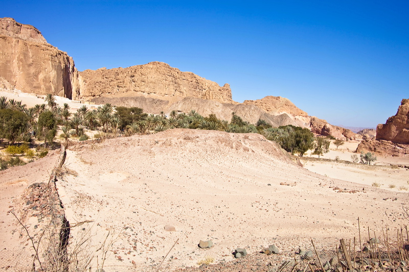 _mg_7185.jpg