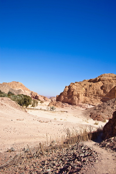 _mg_7186.jpg