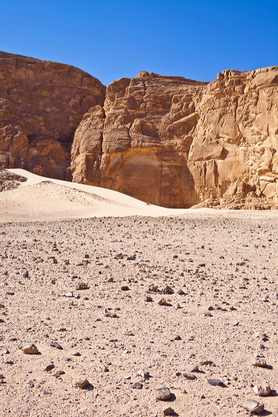 _mg_7208.jpg