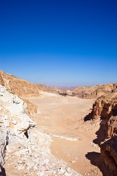 _mg_7212.jpg