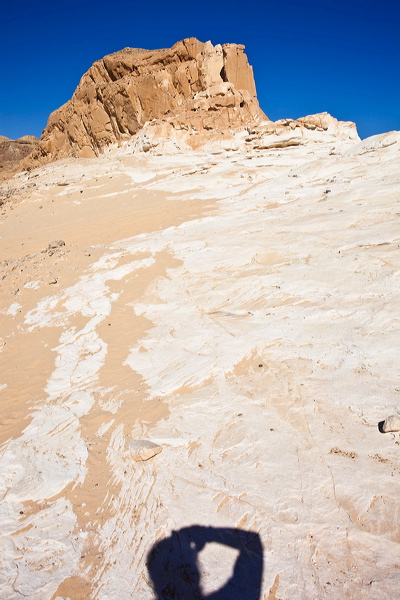 _mg_7218.jpg