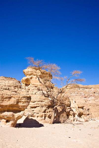 _mg_7220.jpg